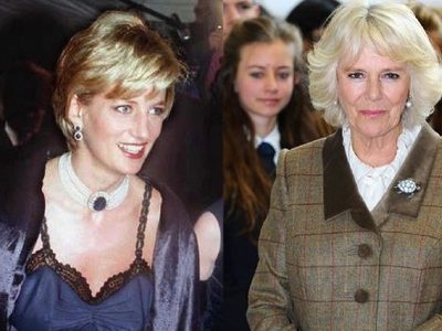 No fue Camilla Parker Bowles: confesó la verdadera razón del divorcio de Lady Di
