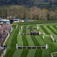 Caballo se fractura la espalda y es sacrificado tras ganar una carrera de obstáculos en Inglaterra
