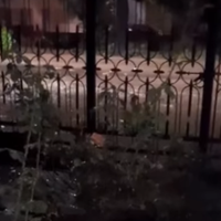 Video: casas inundadas por las obras viales de Las Heras