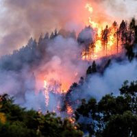 Por el incendio en el lago Steffen, cerraron el ingreso a El Manso y Villegas