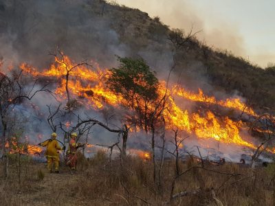 Presentaron un polémico proyecto para prohibir el uso de tierras incendiadas