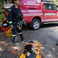 Atropellaron a un perro y lo arrojaron por un barranco en Lago Espejo
