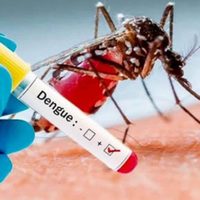 Preocupación en Neuquén: una personalidad clave tiene dengue