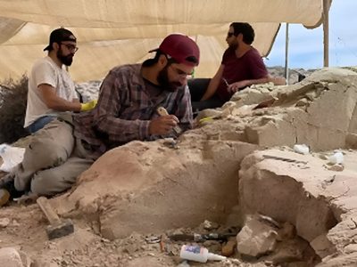 Los investigadores hallaron huesos de dinosaurio en su primer día de expedición en Río Negro