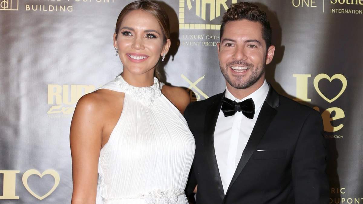 Rosanna Zanetti y David Bisbal. Fuente: (Instagram)