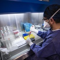 Río Negro: ocho nuevos casos positivos de coronavirus