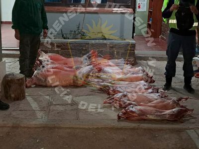 Secuestraron chivos y ovejas faenadas que venían de Mendoza