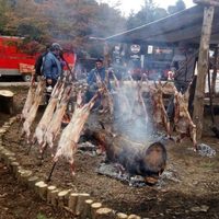 Llegan chivitos y corderos del norte de la provincia a la ciudad de Neuquén