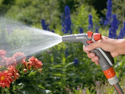 Secreto de los expertos: esto que hacés todos los días con tus plantas genera hongos y las enferma