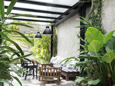 Aprovechá el verano para lograr que tu balcón tenga una onda tropical con estas plantas que son perfectas para eso