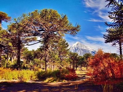 Qué dice el pronóstico: cómo estará el clima en Neuquén este 1º de octubre