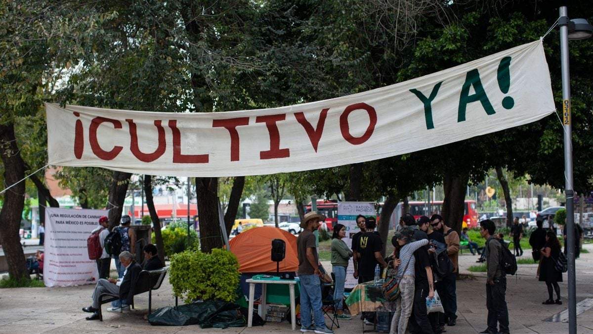 Activistas a favor de la legalización de la mariguana en un plantón afuera del Senado