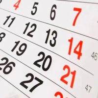 Feriado del 25 de mayo: el Gobierno detalló si habrá fin de semana largo