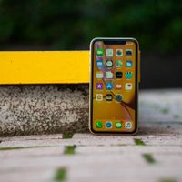 Se filtran las primeras imágenes del iPhone económico de Apple