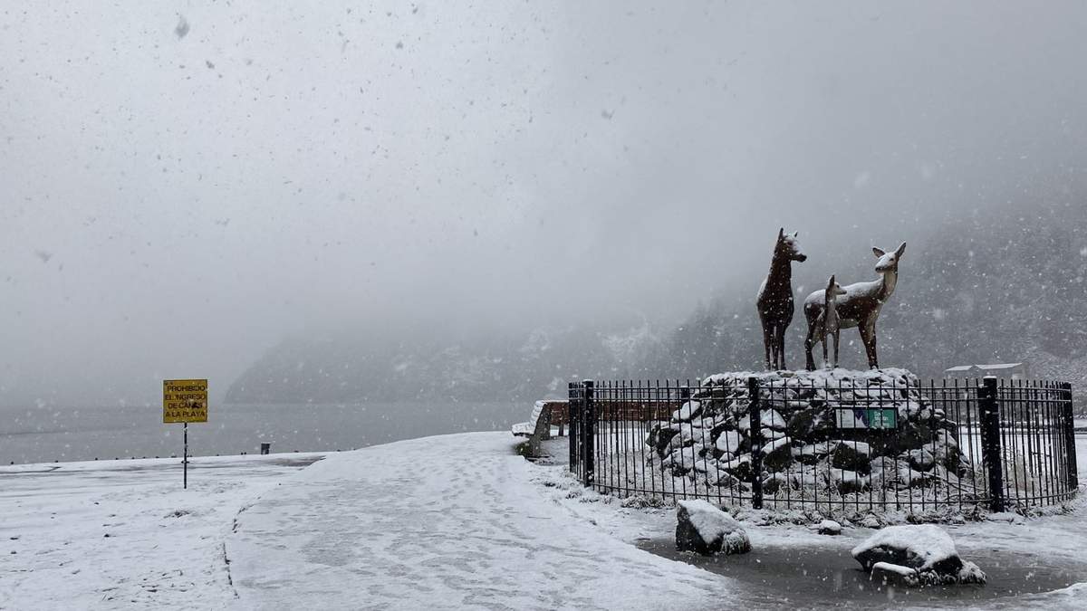 San Martín de los Andes bajo nieve. Fuente: (Twitter)