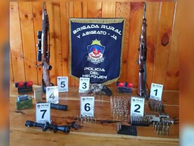 Un detenido y armas secuestradas en un allanamiento por la muerte de un animal