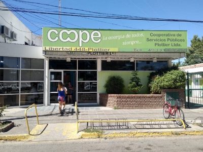Contaminación con PCB: Gloria Ruiz solicitó la intervención de la cooperativa de luz de Plottier