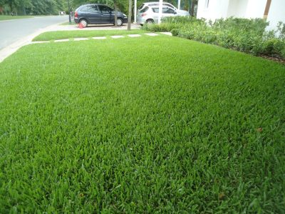 Los 4 secretos que los jardineros no te cuentan para que el césped de tu jardín esté siempre verde, sano y rozagante