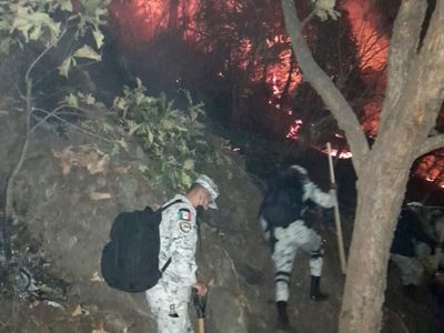 Incendio en Tepoztlán consume 80 hectáreas de bosque