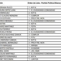 Escrutinio definitivo: cómo quedaron la Legislatura y el Concejo Deliberante de Neuquén capital