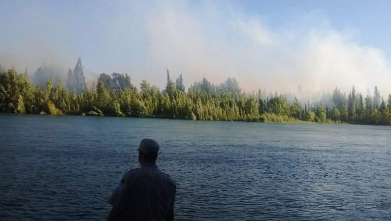 Controlaron el incendio en la isla del río Limay Fuente: (Twitter)