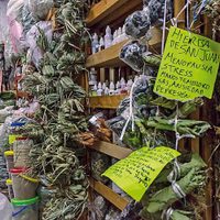 Una ley de salud que enferma a la medicina tradicional
