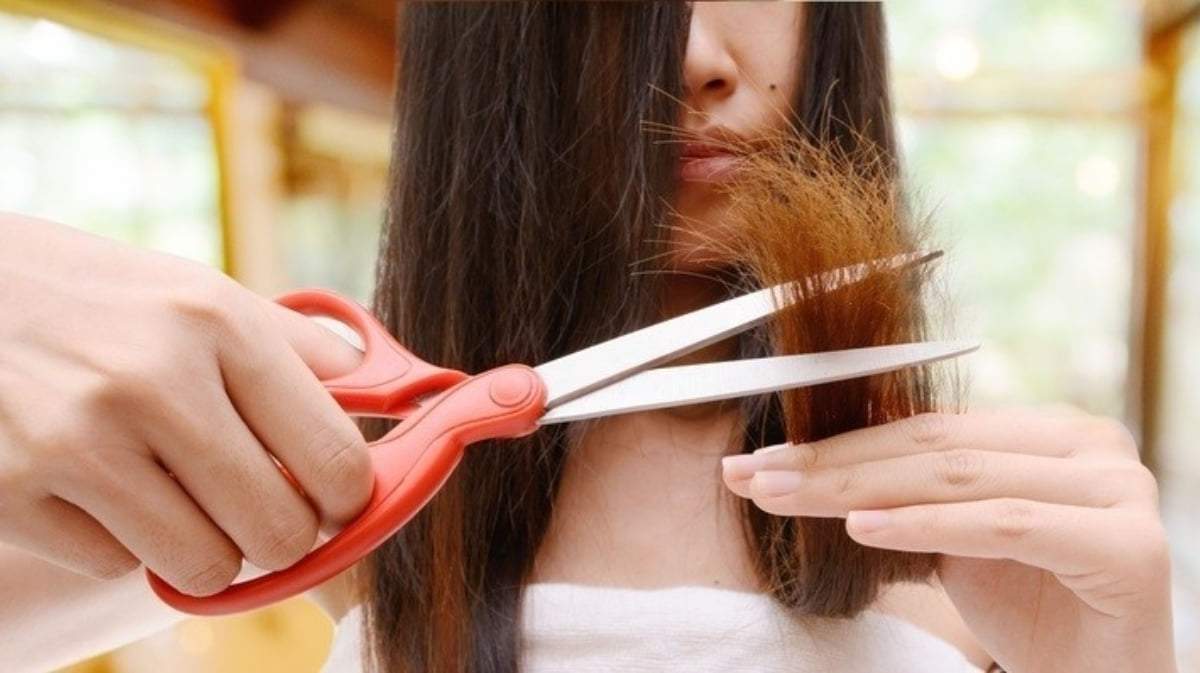 Cabello. Fuente: (Instagram).