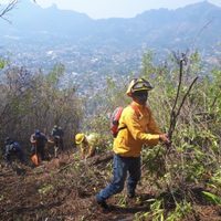 Siete incendios aquejan a cinco municipios de Morelos