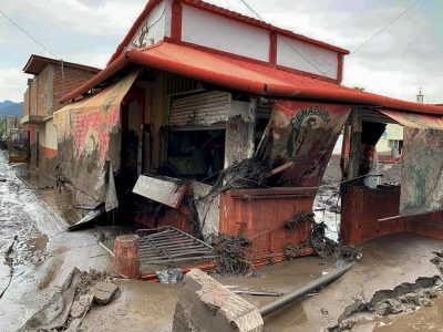 Jalisco: Devastador cambio de uso de suelo