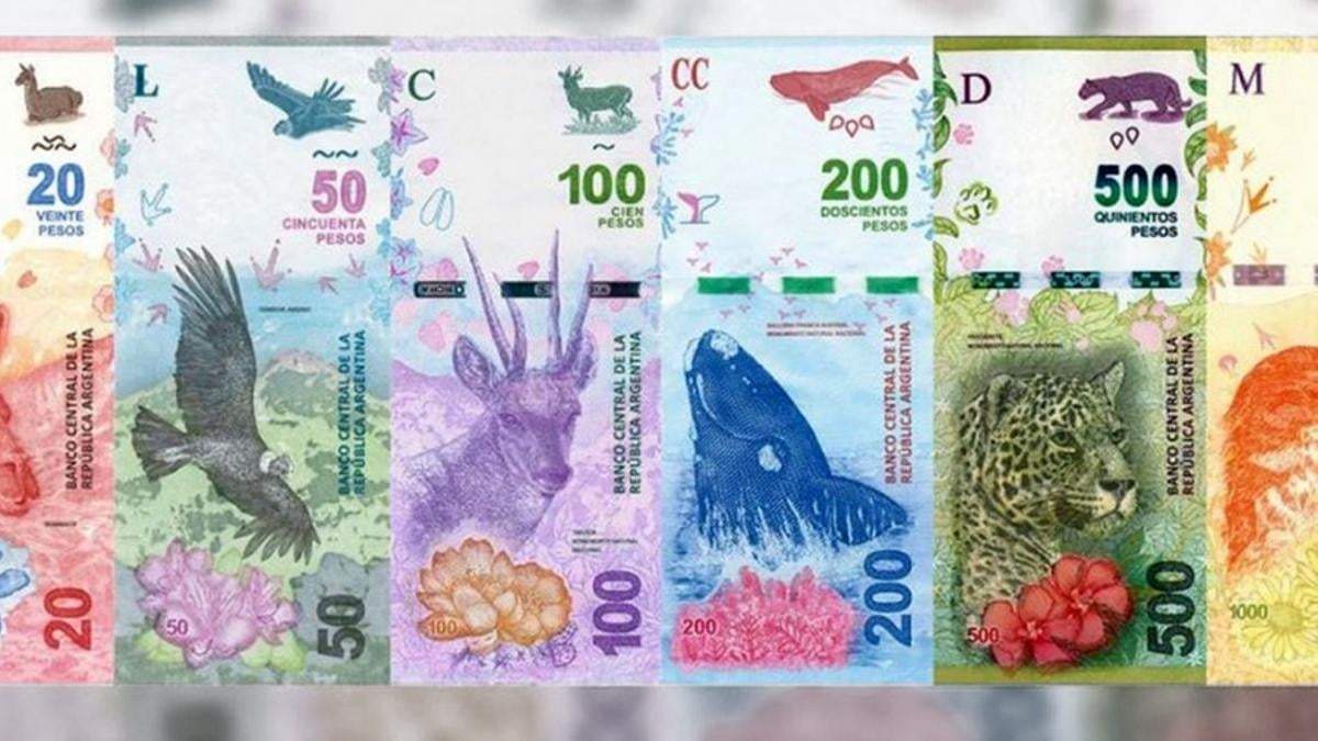 Billetes. Fuente: (X)