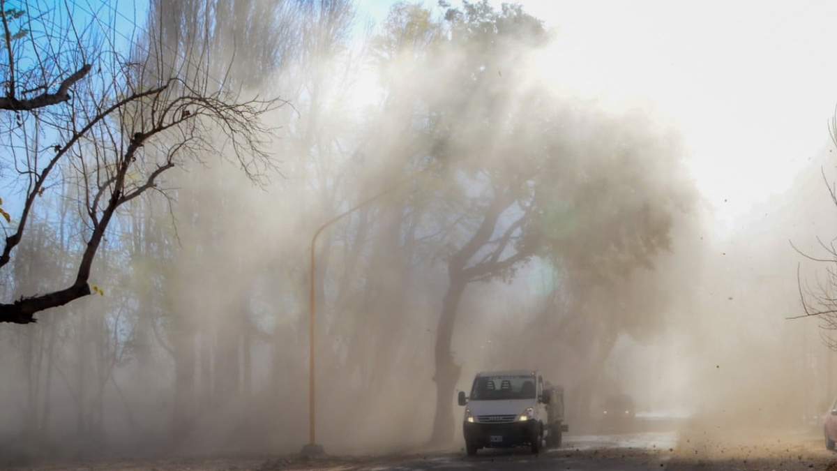 El clima en Neuquén traerá un sábado frío y ventoso en casi toda la provincia. Fuente: (Twitter)