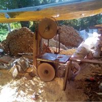 La Profepa desmantela industria forestal en la Reserva de la Biósfera Mariposa Monarca