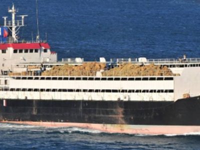El Spiridon II, el barco con casi 3.000 vacas uruguayas, atracó en Libia y desembarcó a los animales