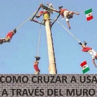 Los memes sobre el muro de Trump