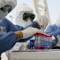 La OMS requiere 31 mil 300 mdd de financiamiento contra el covid-19; solo tiene 3 mil 400 mdd
