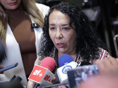 Movimiento Ciudadano pide juicio político contra la diputada de Morena Hilda Araceli Brown