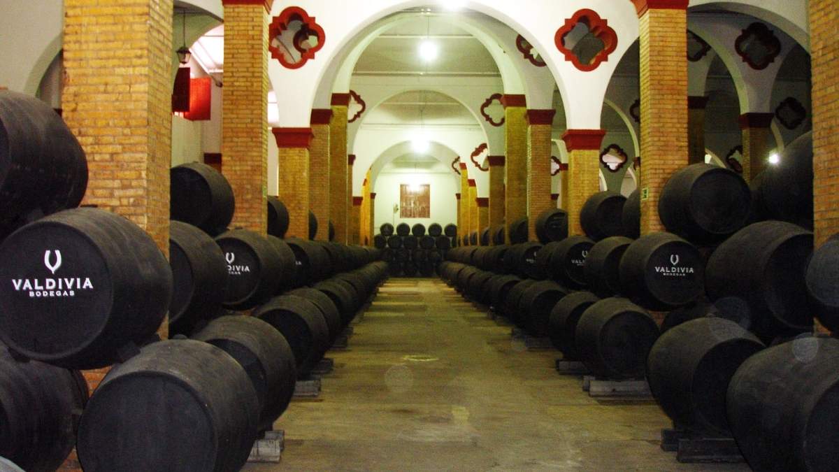 Vinos andaluces, reconocidos en el mundo. Fuente: (Facebook)