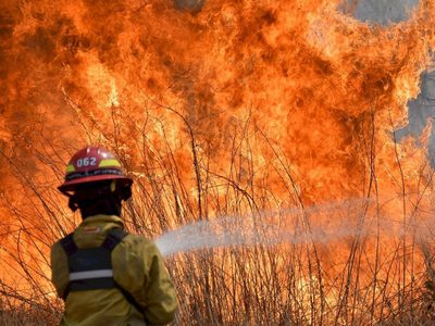 Río Negro, la provincia más afectada por los incendios