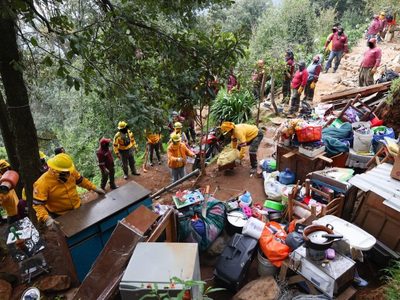 Recuperan cuatro hectáreas invadidas en la zona boscosa de Los Dinamos
