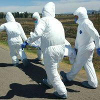 Localizan a mujer ejecutada en brecha de Sahuayo, Michoacán