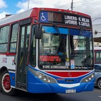 Paro de colectivos y movilización de choferes por una agresión: qué líneas se ven afectadas