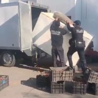Detienen a camionero por utilizar el celular… y le descubren 350 kilos de mariguana oculta en chiles
