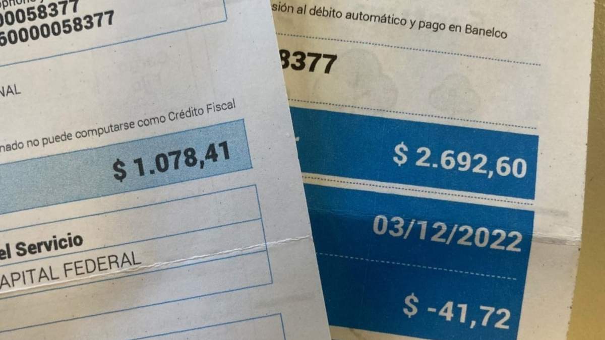 Canasta básica. Fuente: (X)