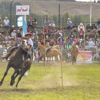 En febrero, vuelve la Fiesta Nacional del Puestero en Neuquén