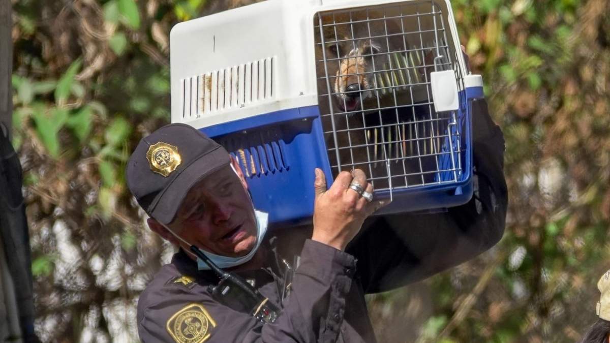 Aspectos del desalojo del Refugio Franciscano, esto luego de diversas denuncias por supuesto maltrato animal en dicho refugio