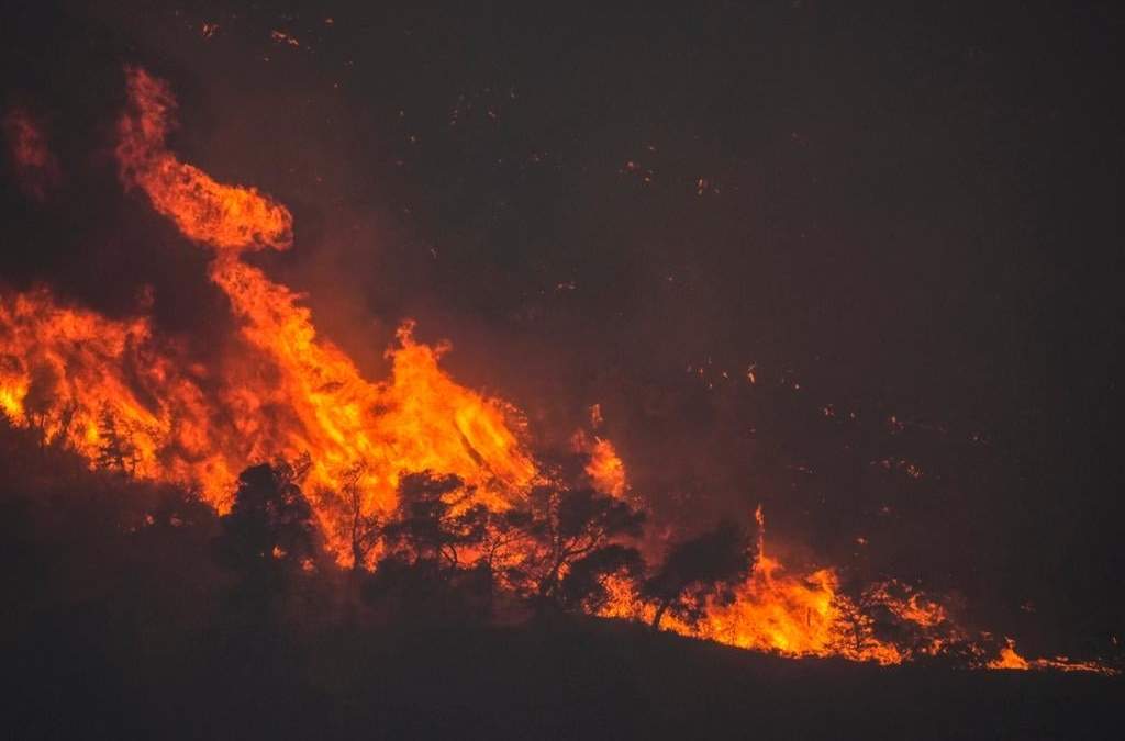 Un incendio consume una fila de árboles en una montaña cerca de Agioi Theodori, al oeste de Atenas