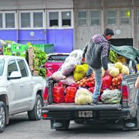 Las verduras son uno de los alimentos que más subieron su precio en Neuquén