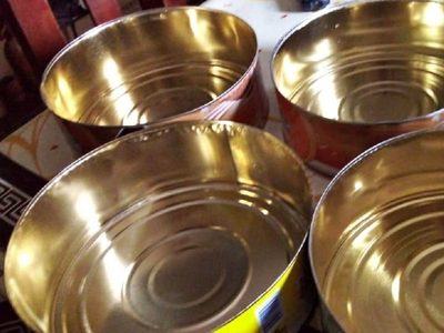 Si tenés latas grandes de galletones, no las tires: creá estas macetas tan fabulosas que serán la envidia de tu jardín