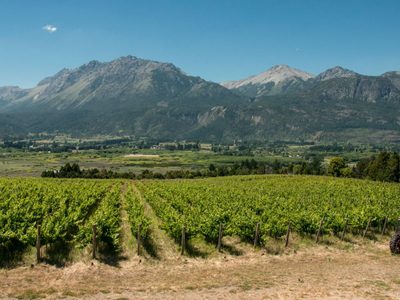Este fin de semana inicia la Semana del Vino en San Patricio del Chañar