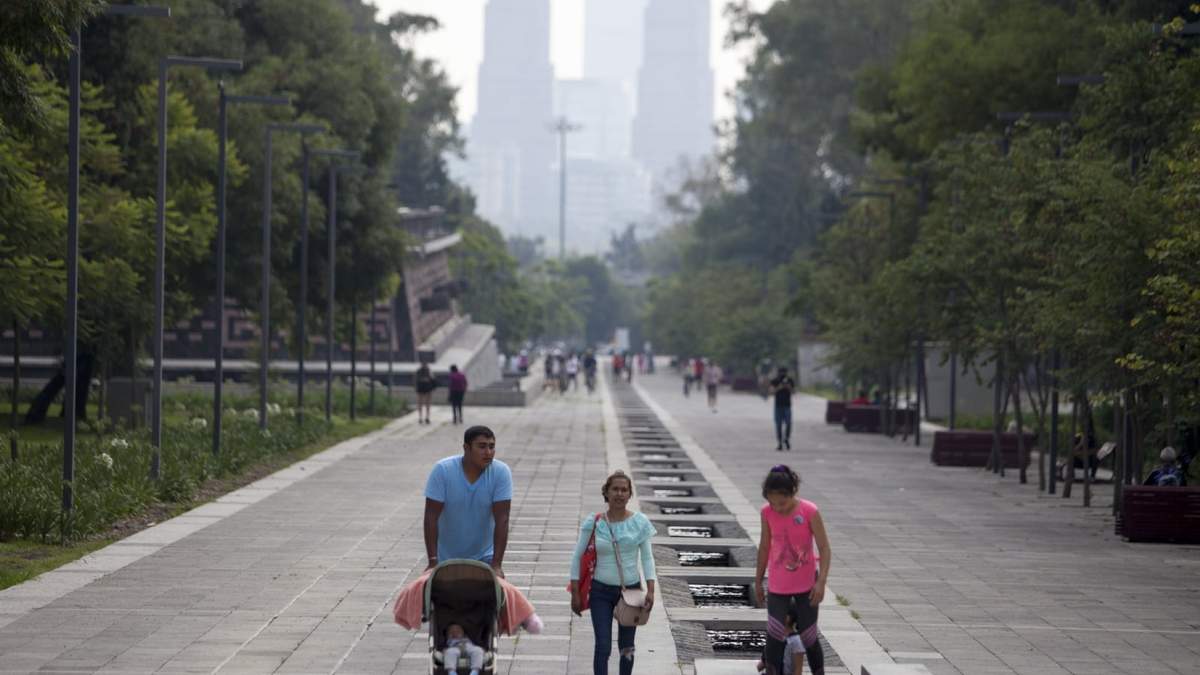 El bosque de Chapultepec